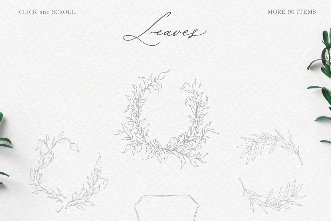 Olive leaves. Laurel frame & wreath