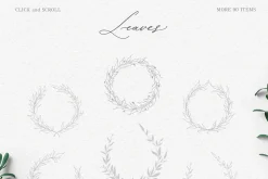 Olive leaves. Laurel frame & wreath