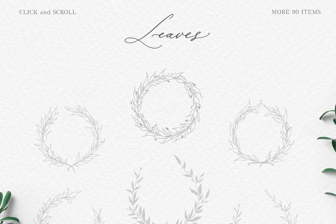 Olive leaves. Laurel frame & wreath