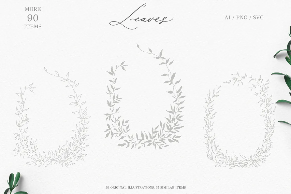 Olive leaves. Laurel frame & wreath