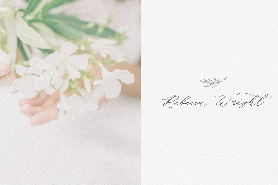 Olive leaves. Laurel frame & wreath