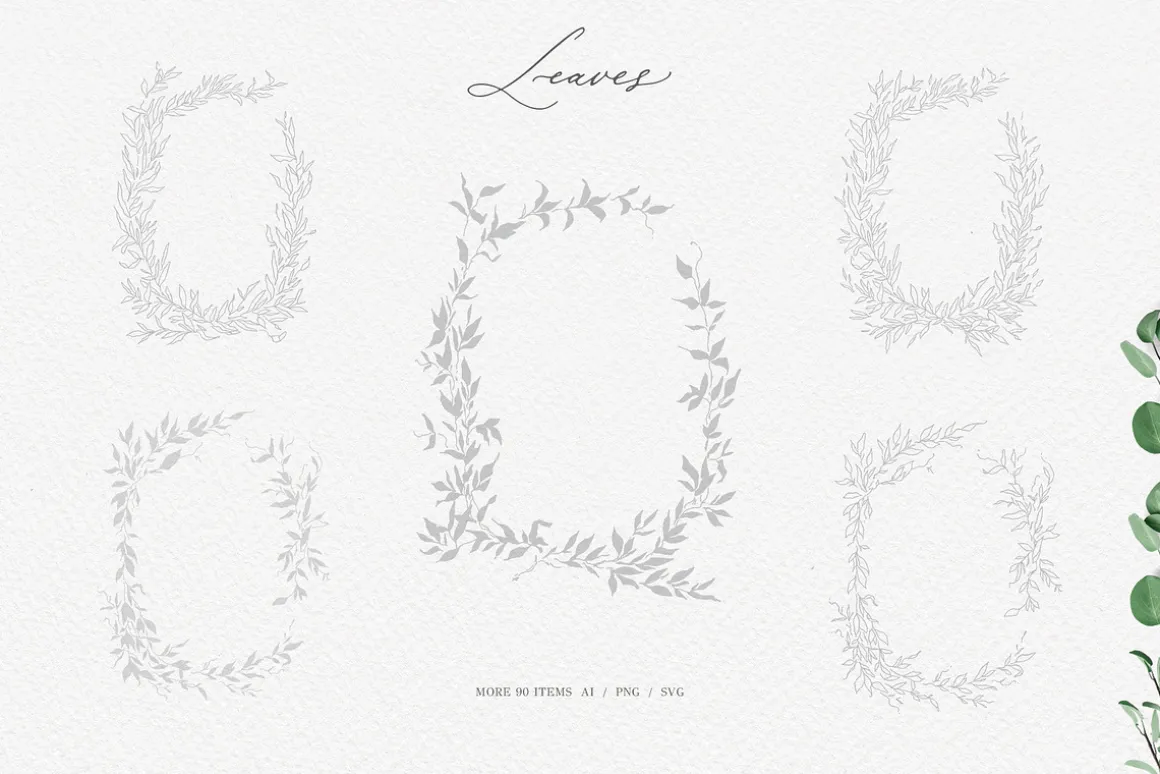 Olive leaves. Laurel frame & wreath