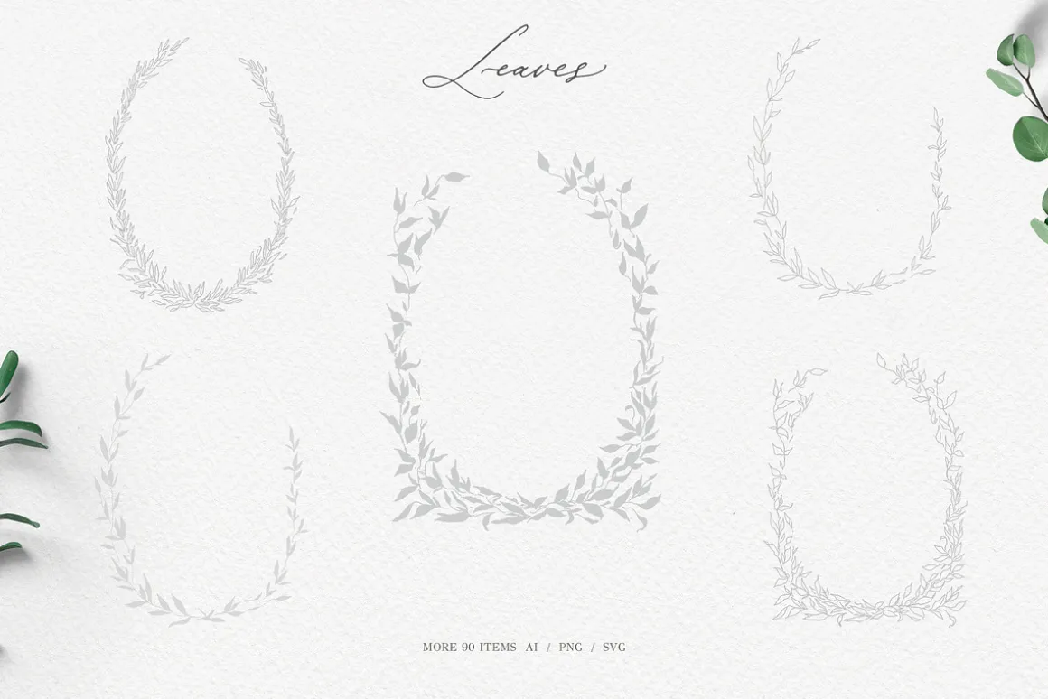Olive leaves. Laurel frame & wreath