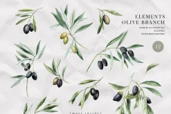 Olives. Watercolor collection