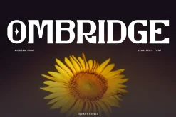Ombridge - Slab Serif Font