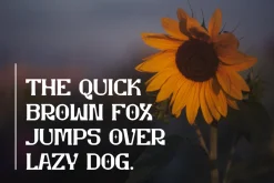 Ombridge - Slab Serif Font
