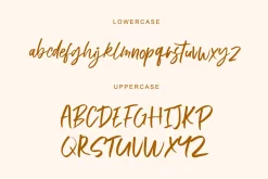 Onestep Handmade Brush Font