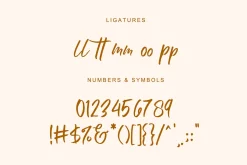 Onestep Handmade Brush Font