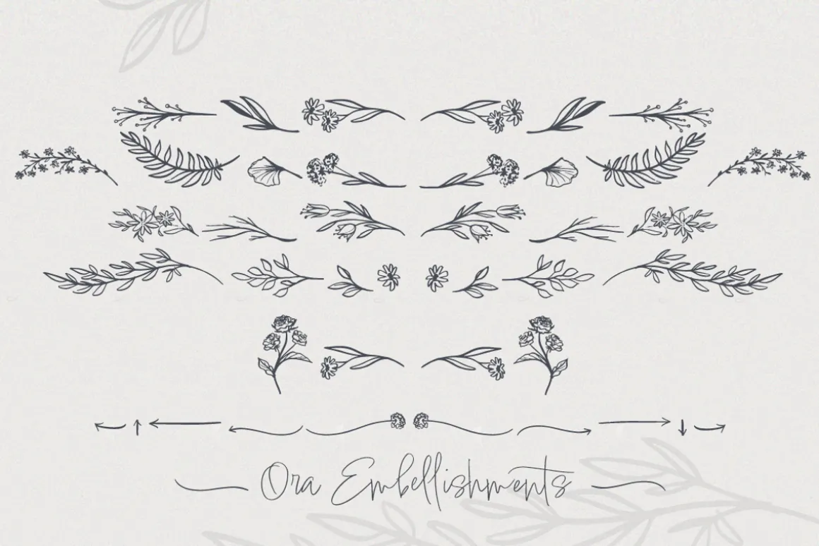 Ora Erwin : Signature Font Duo