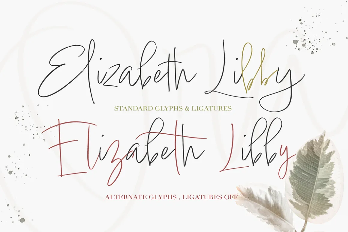 Ora Erwin : Signature Font Duo