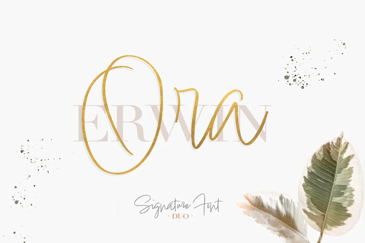 Ora Erwin : Signature Font Duo