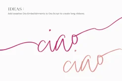 Ora Erwin : Signature Font Duo