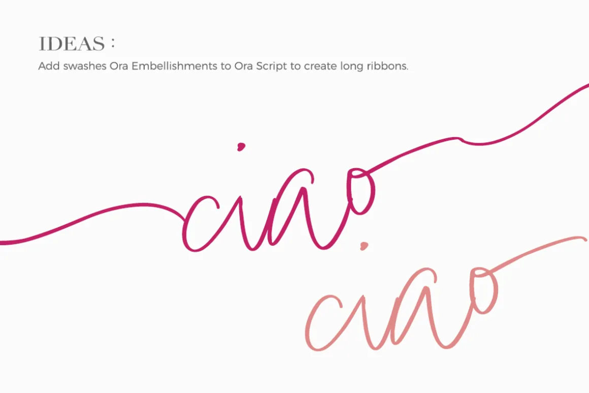 Ora Erwin : Signature Font Duo