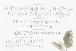 Ora Erwin : Signature Font Duo