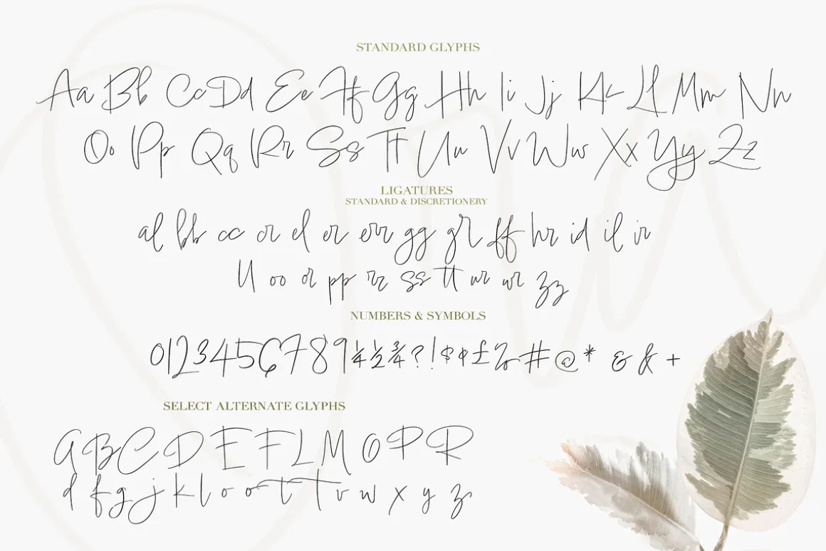 Ora Erwin : Signature Font Duo