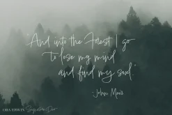 Ora Erwin : Signature Font Duo