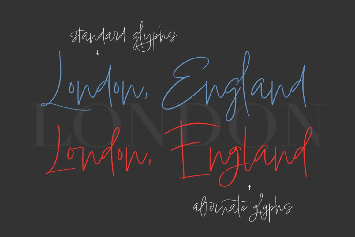 Ora Erwin : Signature Font Duo
