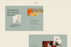 Orchid | E-commerce UI KIT Template
