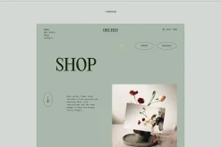 Orchid | E-commerce UI KIT Template