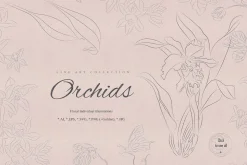 Orchids. Line Art Collection