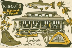Oregon Campout: Patterns + Graphics