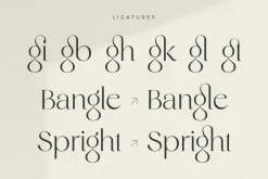 Original - Classy Branding Font