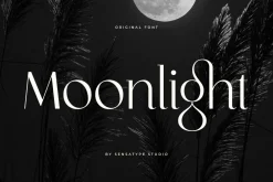Original - Classy Branding Font