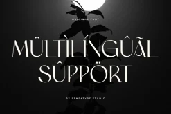 Original - Classy Branding Font