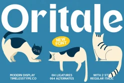 Oritale Modern Display Font