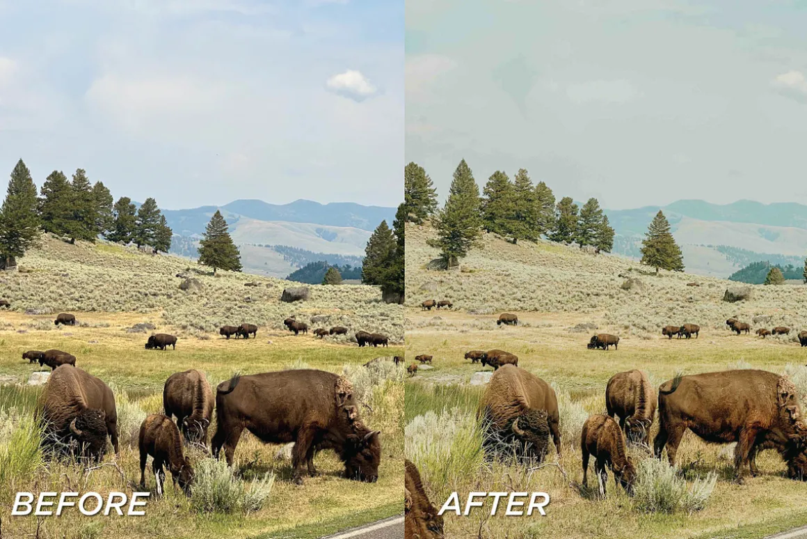 15 Outdoor Lightroom Presets