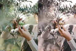 Outdoor portraits Lightroom Presets