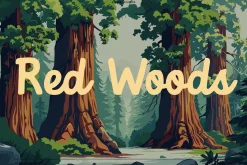 Outdoor Script | National Park Font