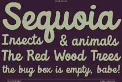 Outdoor Script | National Park Font
