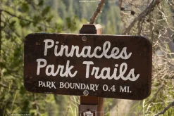 Outdoor Script | National Park Font