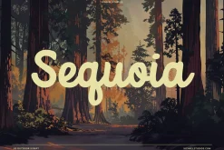 Outdoor Script | National Park Font