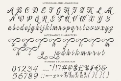 Ovelyned a Calligraphy Script Font