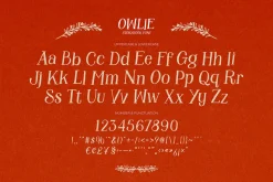 Owlie - Storybook Font