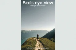 owl sight - vintage sans serif