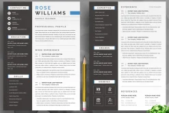 2 Page Graphic Designer Resume