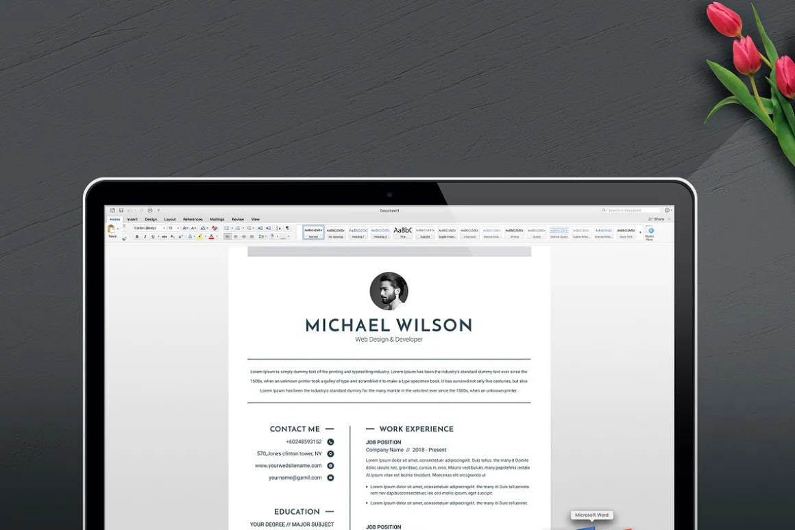3 Pages Clean CV Template | MS Word