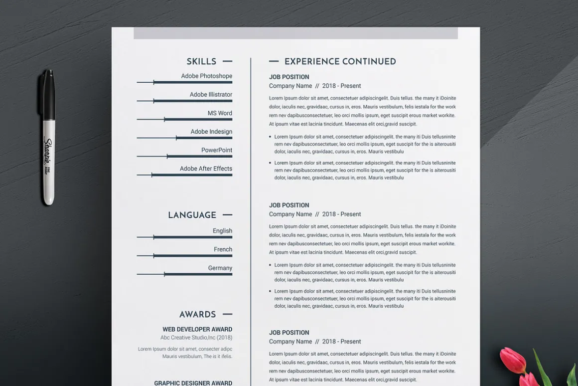 3 Pages Clean CV Template | MS Word
