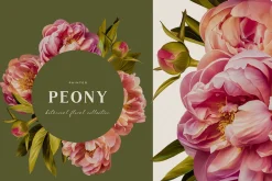 Painted Peony Botanical Florals