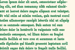 Painted Serif - Hand-lettered Font