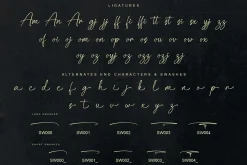 Palisade | Handwritten