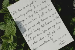 Palisade | Handwritten
