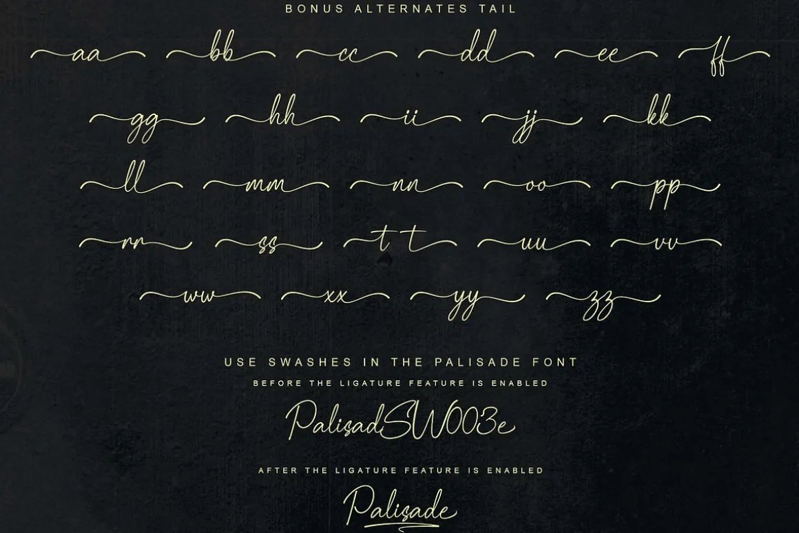Palisade | Handwritten
