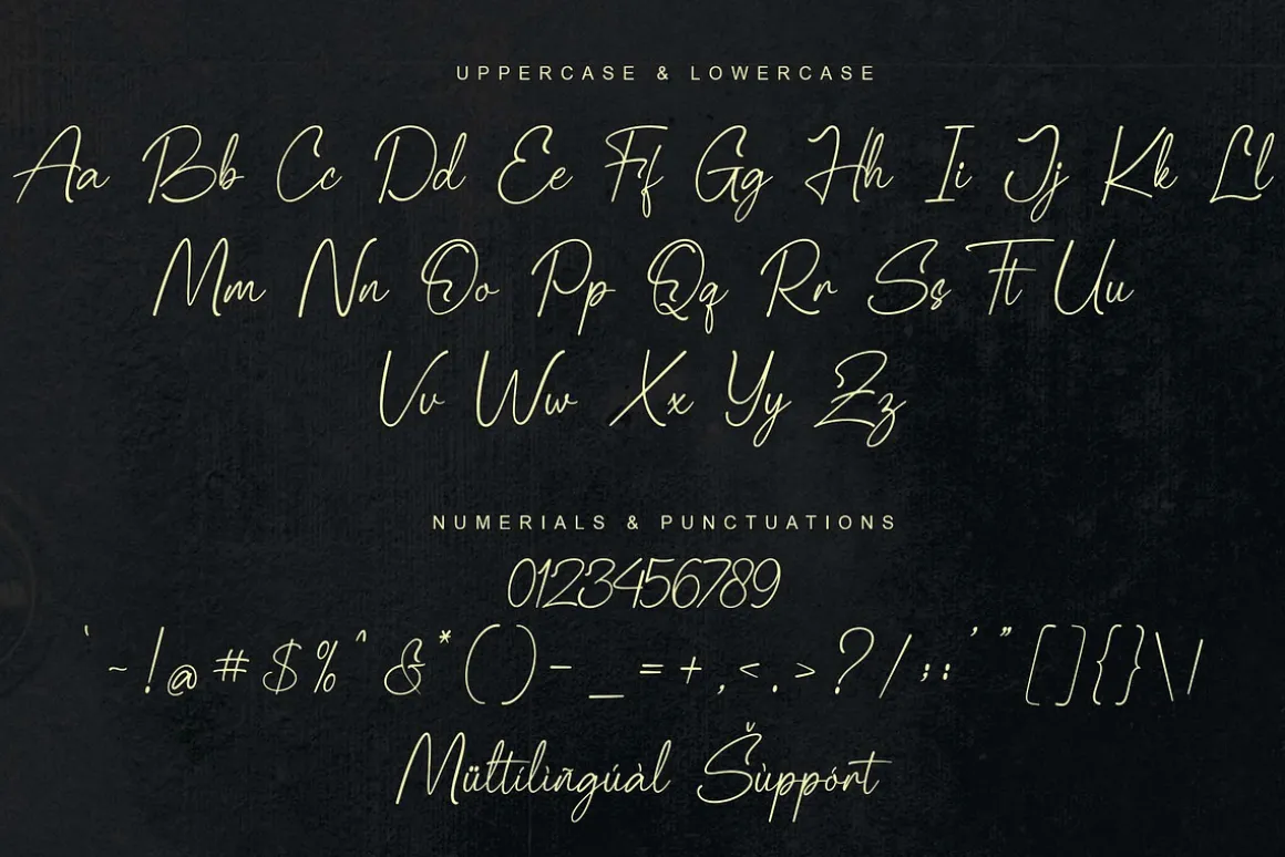 Palisade | Handwritten