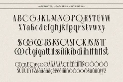 Paradise Seashore - Tropical Serif
