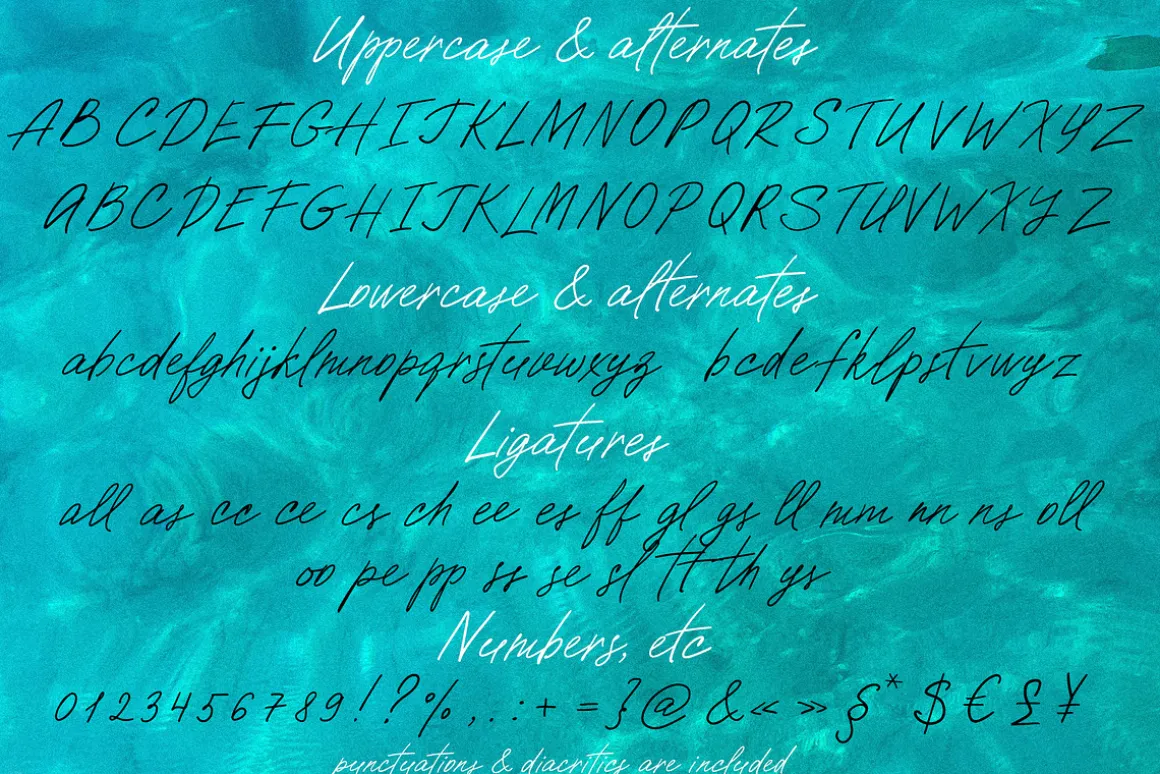 Paradise beach modern script font