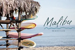 Paradise beach modern script font